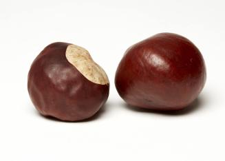 2 Chestnuts