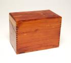 Index Card Box for Health Records – All Artifacts – The John F. Kennedy  Presidential Library & Museum