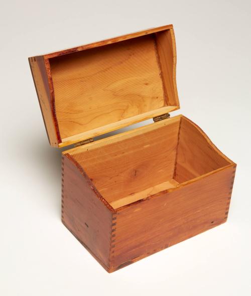 Index Card Box for Health Records