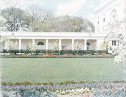 Photograph of White House Lawn