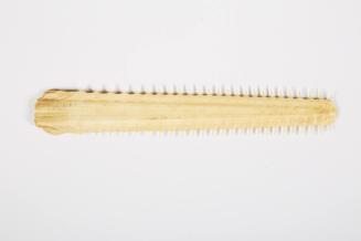 Saw-like rostrum from Sawfish