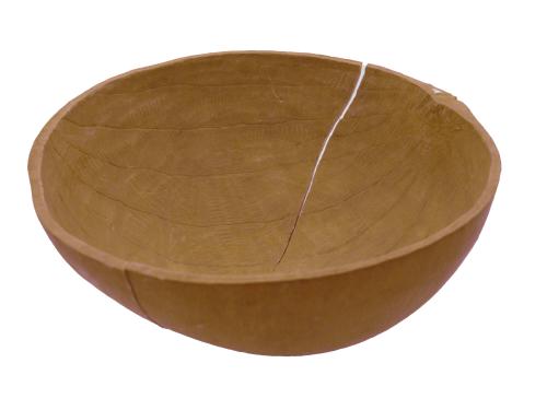 Bowl