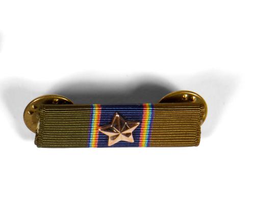 Distinguished Service Lapel Bar