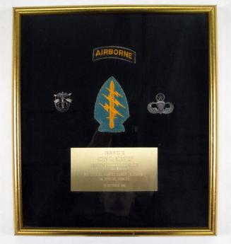 Emblems of 7th Special Forces Group Airborne