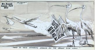"Mrs. Kennedy Expects Third Child" Cartoon