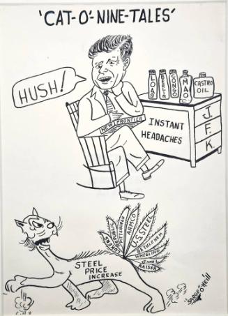 "Cat-O-Nine-Tales" Cartoon