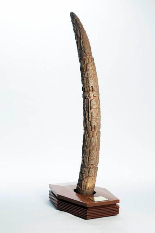 Royal Altar Tusk