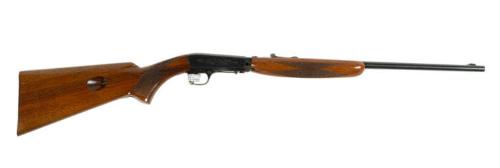 .22-Gauge Rifle