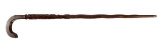 Cobra Walking Stick with Case