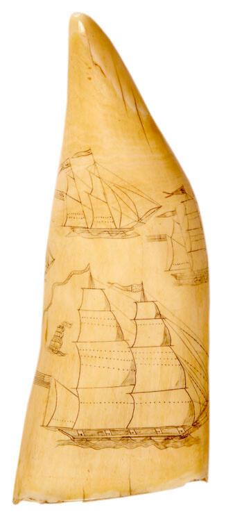 Scrimshaw Depicting Eight Ships