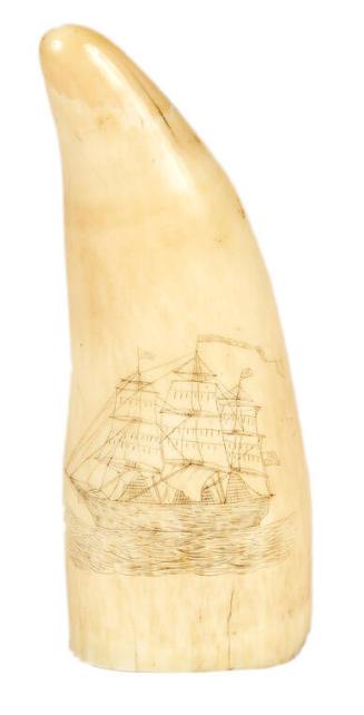 Scrimshaw