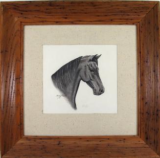 Sketch of a Horse's Head