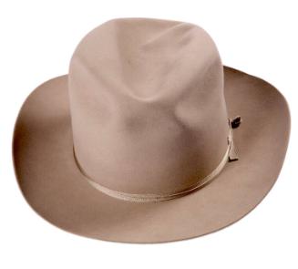 Stetson Hat