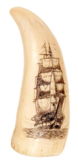 Scrimshaw with Ship Under Full Sail