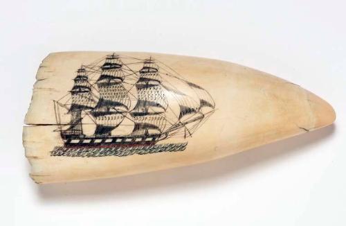 Scrimshaw