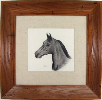 Sketch of a Horse's Head