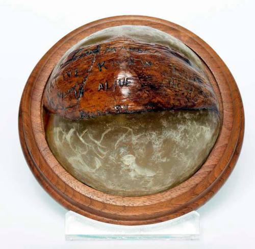 Coconut Shell Bearing Rescue Message