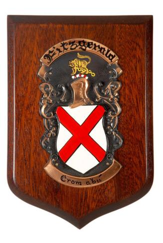 Fitzgerald Coat of Arms